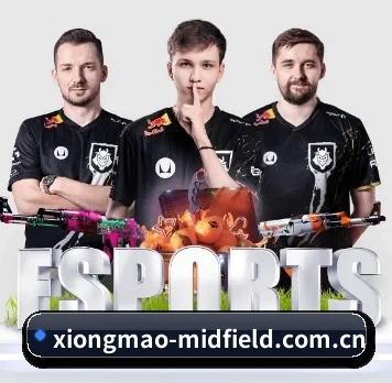熊猫体育官网导航 APP 界面(PANDA SPORTS)
