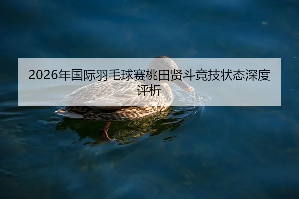 nian-guo-ji-yu-mao-qiu-sai-tao-tian-xian-dou-jing-ji-zhuang-tai-shen-du-ping-xi-2-658.jpg