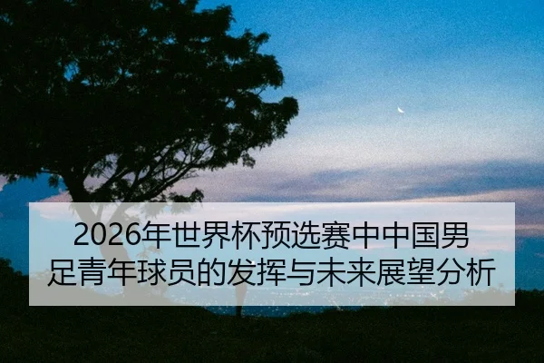 nian-shi-jie-bei-yu-xuan-sai-zhong-zhong-guo-nan-zu-qing-nian-qiu-yuan-de-fa-hui-yu-wei-lai-zhan-wang-fen-xi-2-668.jpg